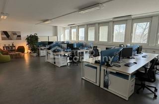 Büro zu mieten in 2751 Steinabrückl, Viel Raum, viel Licht - 90 m² Büro in verkehrsgünstiger Lage
