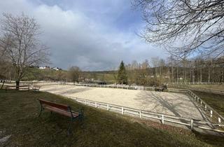 Lager mieten in Aldiana Club, 4843 Ampflwang, Romantischer Reithof mit Potential