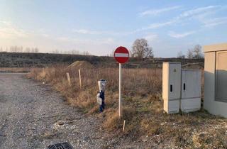 Gewerbeimmobilie kaufen in 2002 Roseldorf, INDUSTRIEGRUNDSTÜCK - 40 Minuten vor Wien