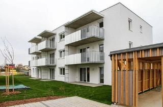 Wohnung mieten in Koralmstraße 48, 8401 Kalsdorf bei Graz, Geförderte Mietwohnung mit Kaufoption in Kalsdorf bei Graz