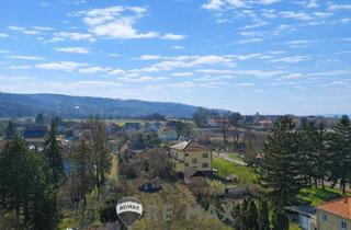 Haus kaufen in 2102 Klein-Engersdorf, "Am Fuße des Bisambergs: großes Grundstück mit Bungalow und XXL-Garage"