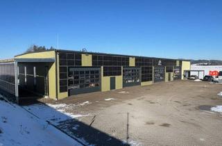 Gewerbeimmobilie kaufen in 4175 Neußerling, Moderne Lager - bzw Produktionshalle in Neusserling im Mühlviertel