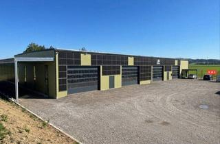Gewerbeimmobilie kaufen in 4175 Neußerling, Moderne Lager - bzw Produktionshalle in Neusserling im Mühlviertel
