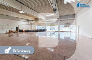 Gewerbeimmobilie mieten in 4050 Traun, Großzügige Gewerbefläche mit 972 m² in stark frequentierter Lage an der B1