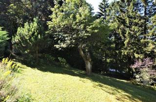 Grundstück zu kaufen in An der Grenze, 1140 Wien, Baugrundstück im Augustinerwald - Naturidylle mit Hanglage