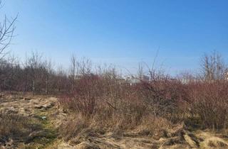 Grundstück zu kaufen in 4600 Wels, Gewerbegrundstück Wels, eingeschränkt gemischtes Baugebiet