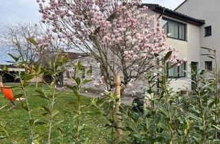 Garagen kaufen in Johann-Steinböckstr., 3390 Melk, Exklusive Liegenschaft mit Stiftsblick in Melk – Wohnen & Investieren in der Wachau