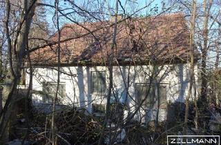 Einfamilienhaus kaufen in 2122 Ulrichskirchen, Baugrundstück im Weinviertel – Ruhe, Weitblick und Nähe zur Stadt | ZELLMANN IMMOBILIEN