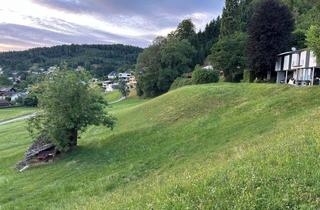 Grundstück zu kaufen in Am Bruch, 6837 Weiler, Exklusives Baugrundstück in Hanglage mit traumhaftem Panoramablick über das Rheintal