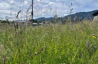 Grundstück zu kaufen in 9601 Arnoldstein, Sonniges Baugrundstück in Arnoldstein 775 m²