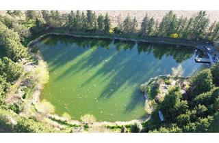 Immobilie kaufen in 3372 Blindenmarkt, See-Anlage mit Quellen und TOP Fischbestand - Nähe Amstetten