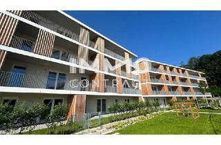 Wohnung kaufen in 3100 Sankt Pölten, Für Anleger: 3-Zimmer Neubau