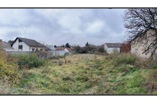 Grundstück zu kaufen in 2183 Neusiedl an der Zaya, Entwicklungsobjekt im Ortsverbund mit seltener Widmung