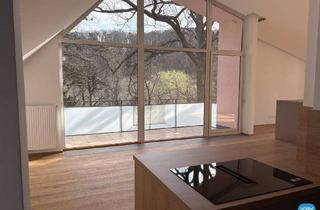 Loft mieten in Pötzleinsdorfer Straße, 1180 Wien, Dachgeschoss am Pötzleinsdorfer Park