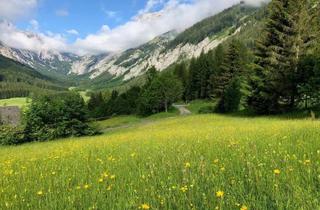 Grundstück zu kaufen in Seewiesen, 8636 Seewiesen, Traumhaftes Baugrundstück in Seewiesen - sonnige Aussichtslage am Fuße des Hochschwabs
