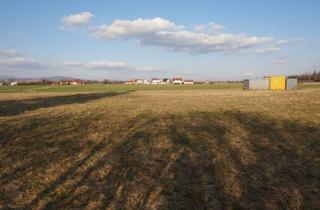 Grundstück zu kaufen in Oftering, 4064 Oftering, ***1.600 m² großes Betriebsgrundstück in Oftering - Mischbaugebiet Widmung***