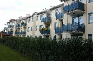 Wohnung mieten in Schmiedgasse 30 Stg. 4+ 5, 2020 Hollabrunn, HOLLABRUNN XII/3, geförderte Mietwohnung mit Kaufoption, 5/4, 1000/00008830/00001504