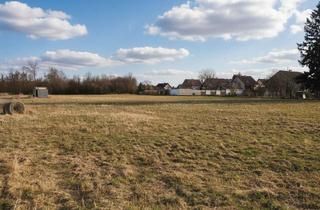 Grundstück zu kaufen in Oftering, 4064 Oftering, Neuer Firmensitz? ***Perfekte Möglichgkeit auf 3.541 m² in Oftering***