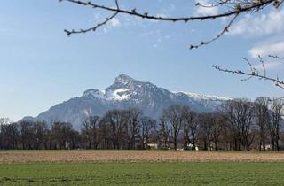 Grundstück zu kaufen in Josefiau, 5020 Salzburg, JOSEFIAU: Schönes Bauträgerprojekt zweier Einzelhäuser in Planung!