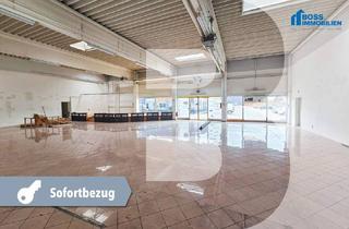 Gewerbeimmobilie mieten in 4050 Traun, Großzügige Gewerbefläche mit 972 m² in stark frequentierter Lage an der B1