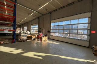Gewerbeimmobilie kaufen in 4175 Herzogsdorf, Moderne Lager - bzw Produktionshalle in Neusserling im Mühlviertel