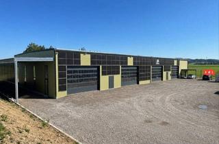 Gewerbeimmobilie kaufen in 4175 Herzogsdorf, Moderne Lager - bzw Produktionshalle in Neusserling im Mühlviertel