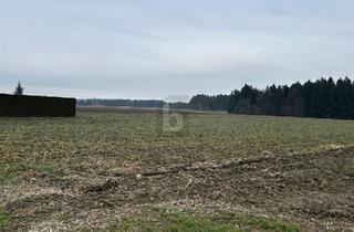Grundstück zu kaufen in 8424 Gabersdorf, RUHIGE LAGE - ZUSÄTZLICHE FLÄCHEN MÖGLICH