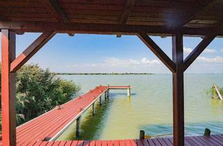 Haus kaufen in 7071 Rust, SONNENANBETER UND SEGLER AUFGEPASST - FLACHDACHHÜTTE MIT BOOTSGARAGE IN DER RUSTER BUCHT AUF PACHTGRUND ZU KAUFEN