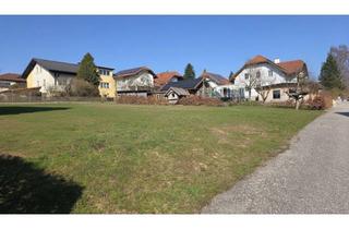 Grundstück zu kaufen in 4755 Zell an der Pram, sonniges Baugrundstück - ohne Bauzuwang