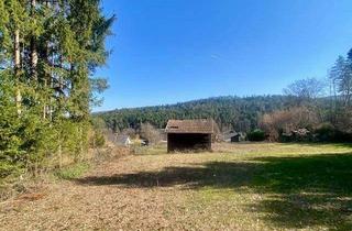 Grundstück zu kaufen in 2822 Walpersbach, Für Naturliebhaber und Sonnenanbeter!