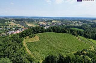 Grundstück zu kaufen in 8462 Gamlitz, IHRE EIGENEN CHALETS! TRAUMHAFTES GRUNDSTÜCK AN DER SÜDSTEIRISCHEN WEINSTRASSE! Ein Ausblick der Ihnen die Sprache verschlagen wird - im schönsten Teil der grünen Steiermark