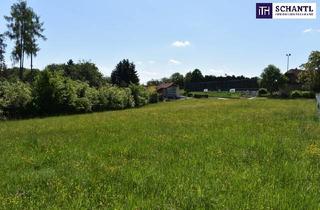 Grundstück zu kaufen in Hönigtaler Straße, 8301 Laßnitzhöhe, Wunderbares Bauträgergrundstück in Bestlage Nähe 8301 Laßnitzhöhe