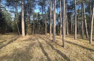 Gewerbeimmobilie kaufen in 2620 Mollram, Waldgrundstück zwischen Mollram und Raglitz - Bezirk Neunkirchen