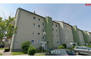 Wohnung mieten in Bonellistraße, 4600 Wels, Frisch saniert & geräumig: 3-Zimmer-Wohnung mit Lift in Wels – separate Küche, Bad mit Fenster