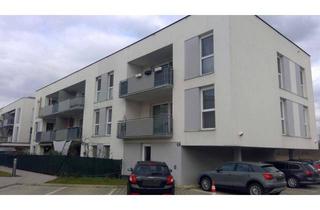 Wohnung mieten in Bernsteinstraße 26a/9, 2404 Petronell-Carnuntum, Petronell-Carnuntum | Geförderte Miete mit Kaufoption | Top 1/9 | 1.OG mit Balkon