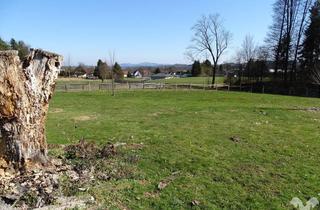 Grundstück zu kaufen in 8530 Deutschlandsberg, Sonniges Baugrundstück am Stadtrand - Umwidmung in Vorbereitung!