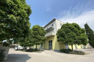 Wohnung mieten in Mühlenweg 2/C2, 3244 Ruprechtshofen, Mühlenweg 2/C2