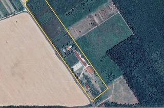 Villen zu kaufen in Schloss Esterházy Fertöd, Pamhagen, 7152 Pamhagen, Reiterparadies in Ungarn - Traumvilla OHNE Nachbarn - 8 Hektar Traumgrund mit Entwicklungspotenzial - 1h von Wien/15 Minuten zur Grenze Pamhagen