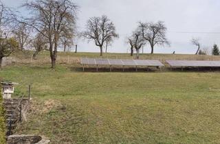 Grundstück zu kaufen in 4502 Sankt Marien, Schönes Baugrundstück ohne Bauzwang in Sankt Marien