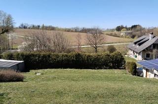 Grundstück zu kaufen in 4502 Sankt Marien, Schönes Baugrundstück ohne Bauzwang in Sankt Marien