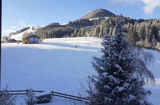 Wohnung mieten in 6365 Kirchberg in Tirol, kleines NETT möbliertes 1 Raum Apartment, TOP Lage, direkt an Skiwiese, 100mSkibus, 250m Zentrum