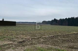 Grundstück zu kaufen in 8424 Gabersdorf, RUHIGE LAGE - ZUSÄTZLICHE FLÄCHEN MÖGLICH