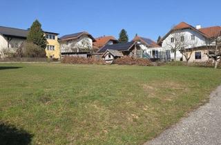 Grundstück zu kaufen in 4755 Zell an der Pram, sonniges Baugrundstück - ohne Bauzuwang