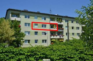 Wohnung kaufen in 3250 Wieselburg, Neu renovierte 5-Zimmer Wohnung im 2. Stock im Zentrum von Wieselburg