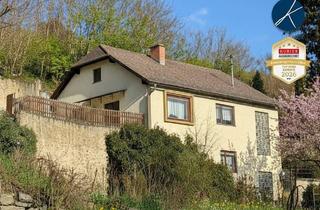 Einfamilienhaus kaufen in 3500 Krems an der Donau, Einfamilienhaus mit Garten in Bestlage von Stein