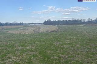 Grundstück zu kaufen in Untervogau, 8472 Straß in Steiermark, ++ LAGE, LAGE ++ GEWERBEGRUNDSTÜCK an der A9 AUTOBAHNABFAHRT bzw. -AUFFAHRT ST. VEIT VOGAU ++ TEILUNG MÖGLICH ++ BD KG 0,2 - 1,0