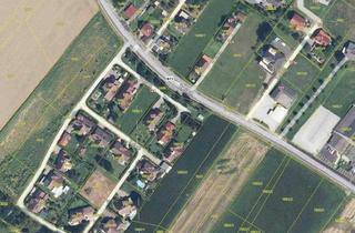 Grundstück zu kaufen in 8082 Kirchbach in Steiermark, Schönes ebenes Grundstück nahe Ortszentrum Zerlach