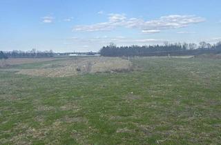 Grundstück zu kaufen in Untervogau, 8472 Vogau, ++ LAGE, LAGE ++ GEWERBEGRUNDSTÜCK an der A9 AUTOBAHNABFAHRT bzw. -AUFFAHRT ST. VEIT VOGAU ++ TEILUNG MÖGLICH ++ BD KG 0,2 - 1,0