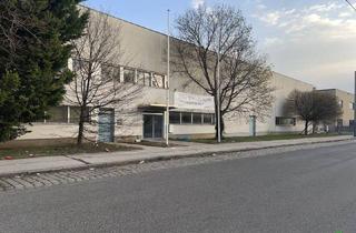 Büro zu mieten in Baudißgasse 5-7, 1110 Wien, BÜROSTANDORT IN DER BAUDIßGASSE / Gesamtnettomiete EUR 2.175,88