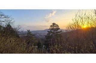 Grundstück zu kaufen in 2103 Langenzersdorf, Baugrundstück mit herrlichem Fernblick (Eigengrund)